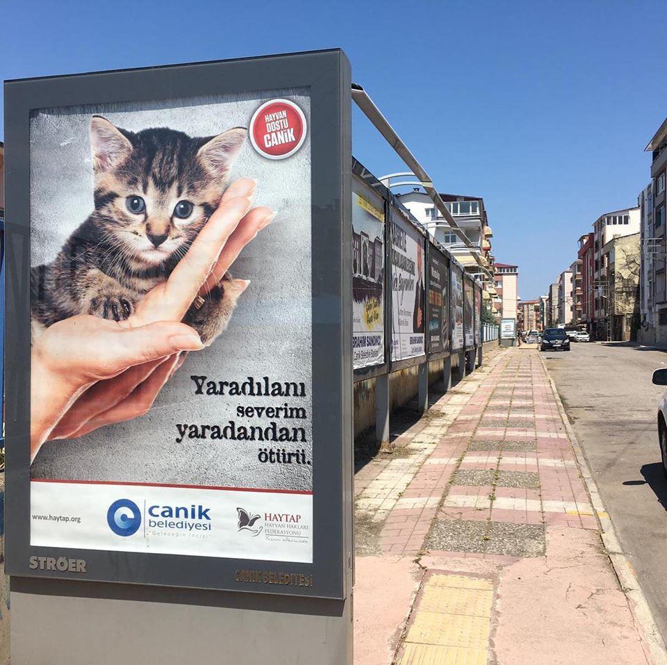 Samsun / Canik Belediyesi & Haytap Ortak Farkındalık Çalışması